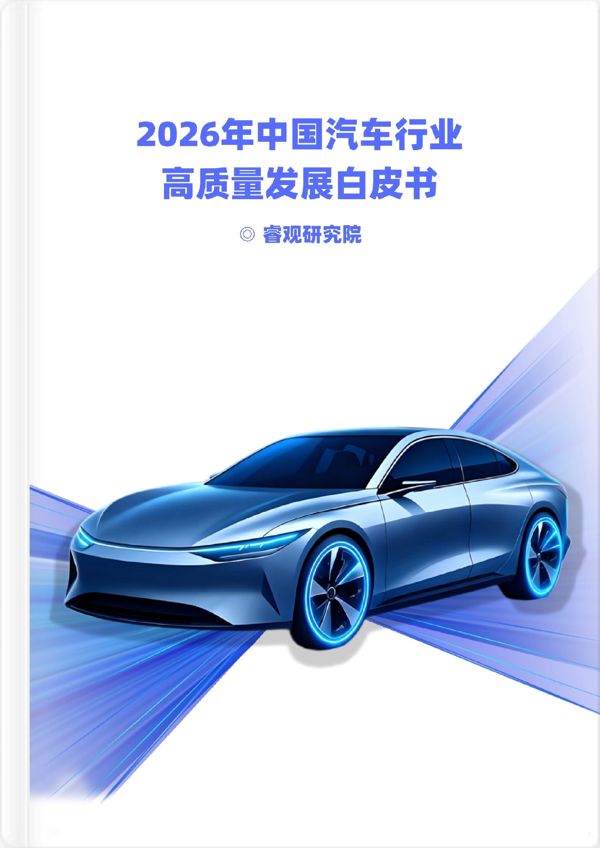 睿信咨询重磅发布 | 2026汽车行业白皮书：从"蔚小理"的分化，看十五五的生存法则