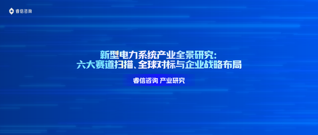 新型电力系统产业全景研究：六大赛道扫描、全球对标与企业战略布局——睿信咨询产业研究报告