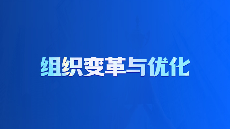 组织变革与优化