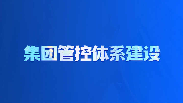 集团管控体系建设
