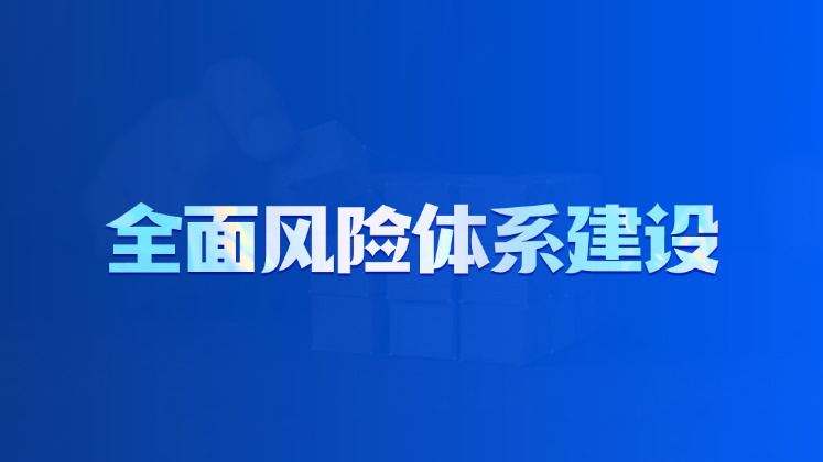 全面风险体系建设
