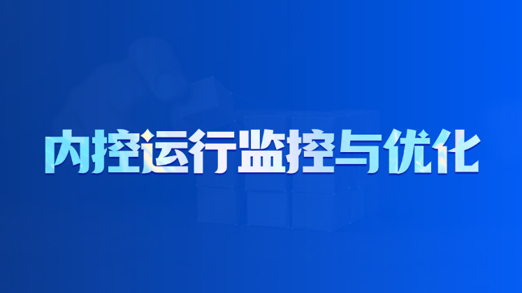 内控运行监控与优化