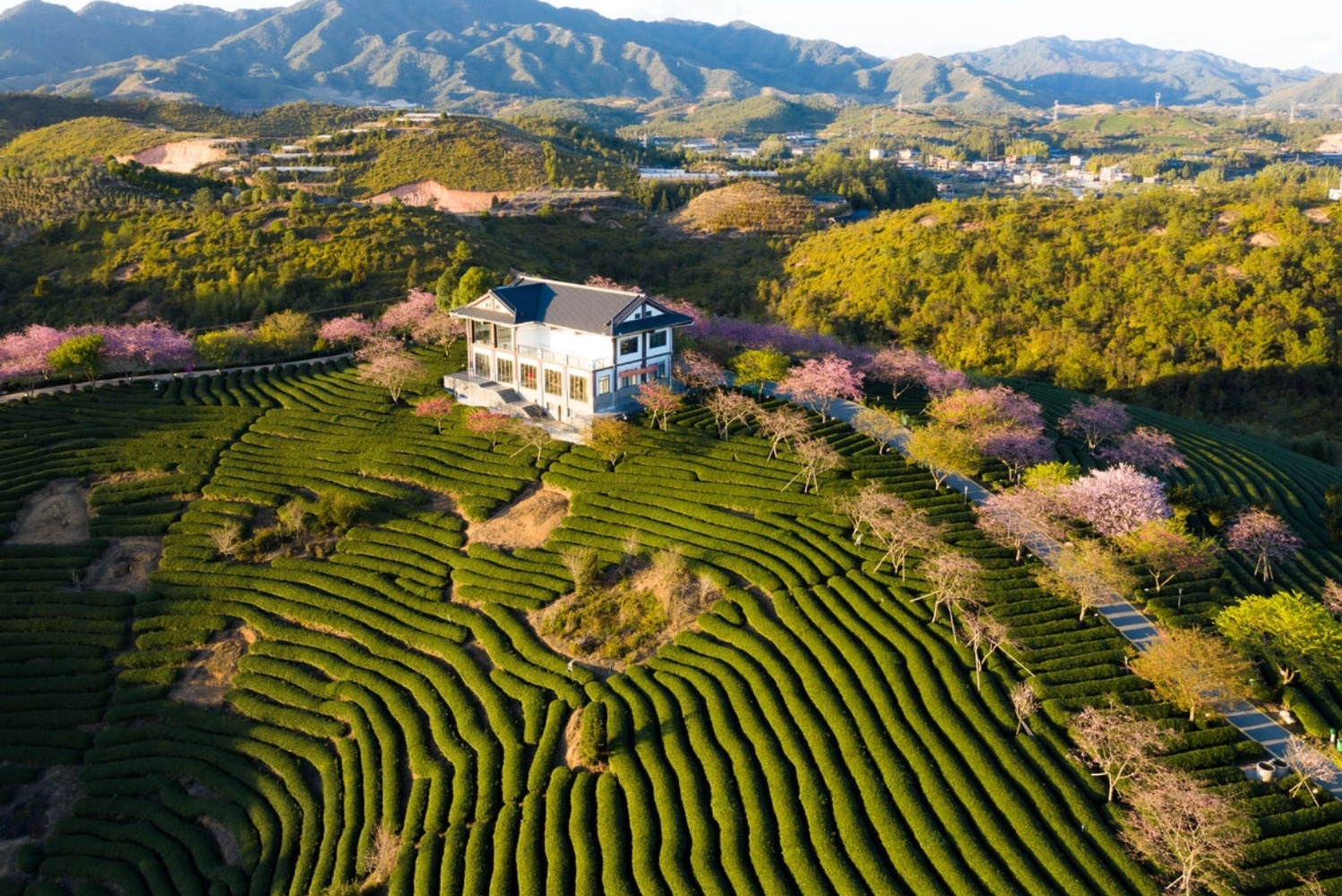 现代农业：拿了地、上了设备，为什么还是赚不到钱？