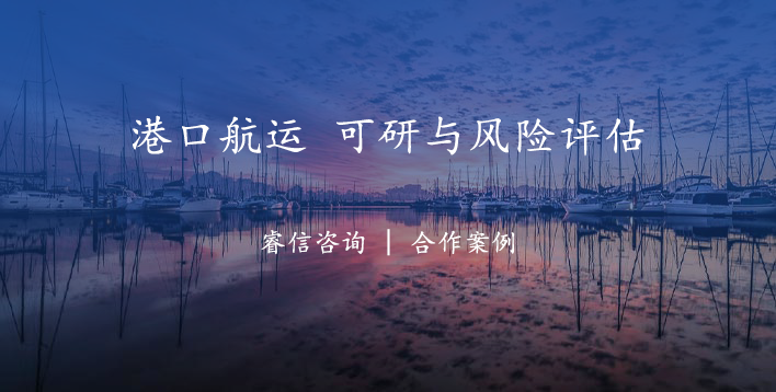 上市港口航运集团可行性研究与风险评估咨询项目