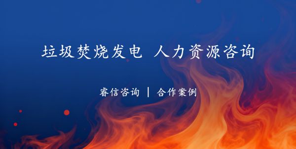 垃圾焚烧发电项目公司人力资源管理体系优化项目案例