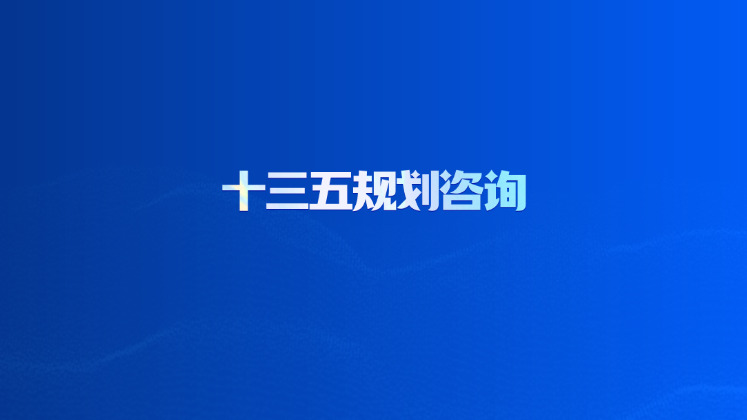十三五规划咨询